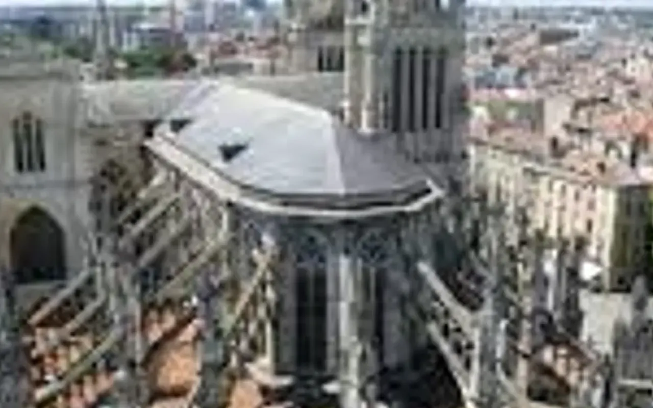 main photo